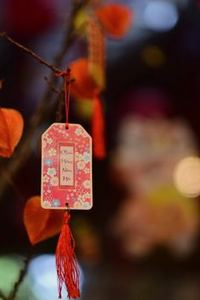 tải game Nohu iOS